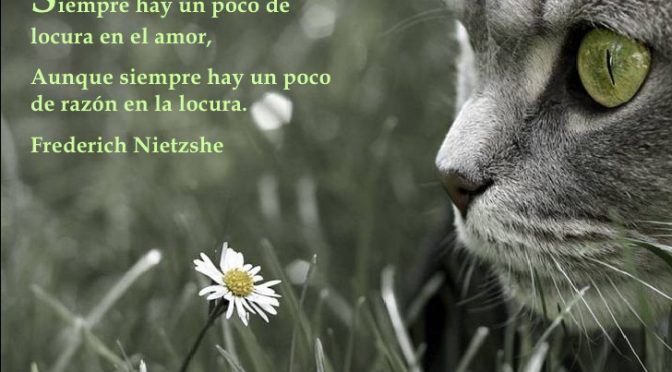 Lo Estético a la hora de redactar un Blog